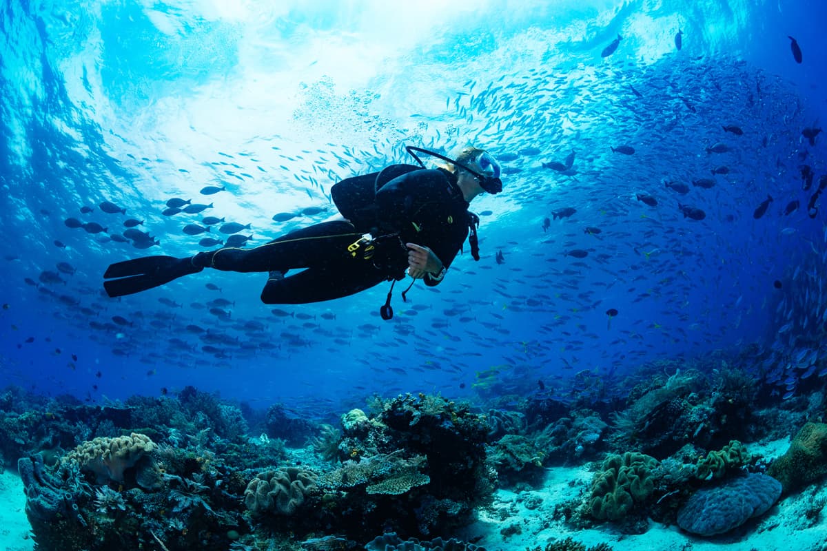 Clases de buceo en Vilagarcía - Medusa