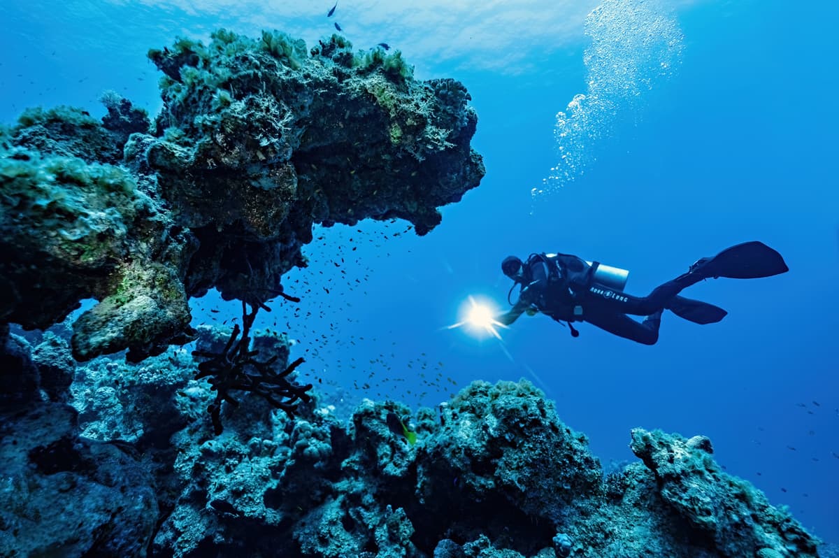 Clases de buceo en Vilagarcía - Medusa