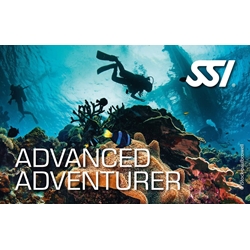 ADVANCED ADVENTURER - Imagen 1