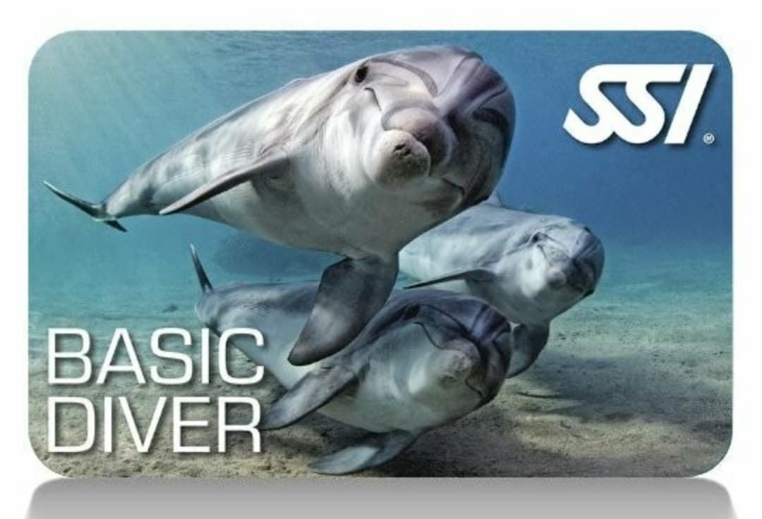 BASIC DIVER - Imagen 1