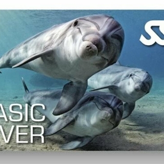 BASIC DIVER - Imagen 1