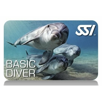 BASIC DIVER - Imagen 1