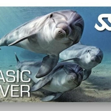 BASIC DIVER - Imagen 1