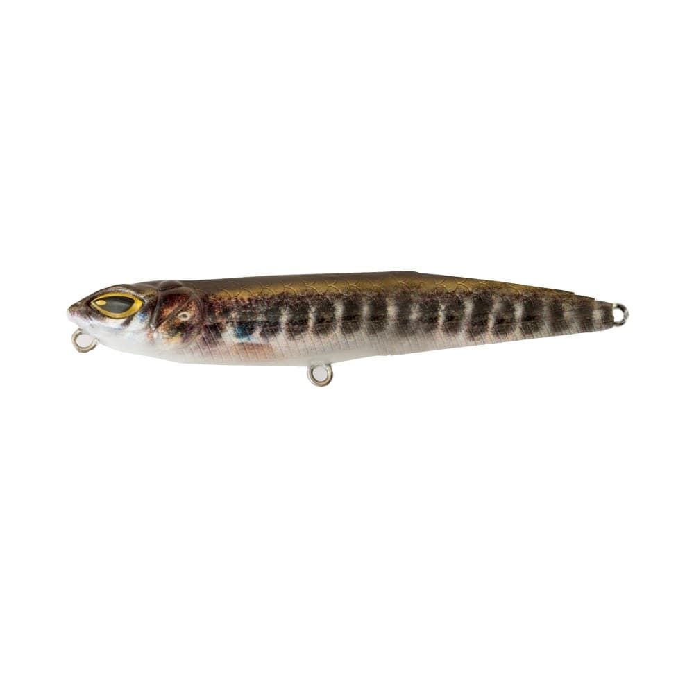 CINNETIC MINI ZIG WALKER 75F - Imagen 6