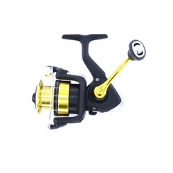 DAIWA RS - Imagen 1