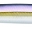DAIWA SHORE LINE SHINER Z VERTICE 98S - Imagen 1