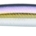 DAIWA SHORE LINE SHINER Z VERTICE R 125 S - Imagen 1