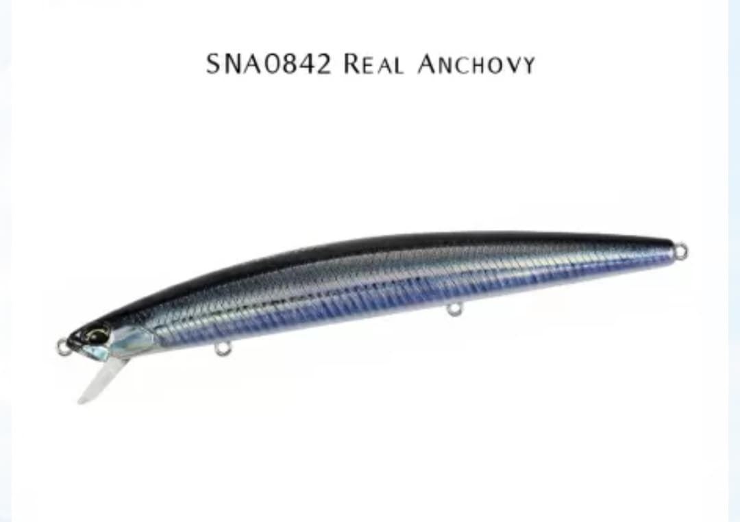 DUO TIDE MINNOW LANCE 120S - Imagen 2