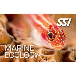 ECOLOGIA MARINA - Imagen 1