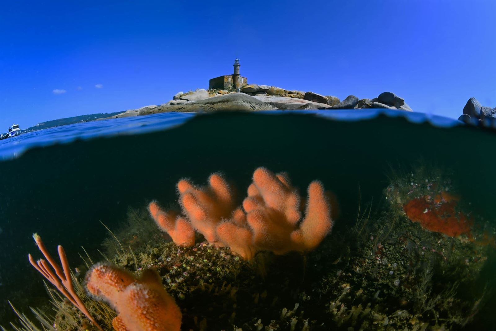 ISLA DE RÚA - Imagen 1