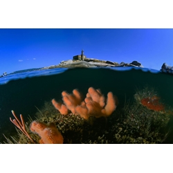 ISLA DE RÚA - Imagen 1