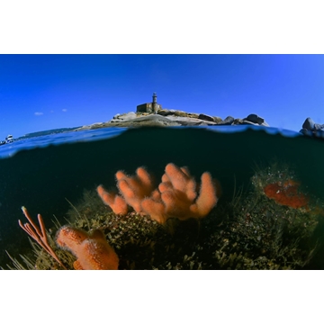 ISLA DE RÚA - Imagen 1