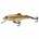 LIVE TARGET TROUT - Imagen 2