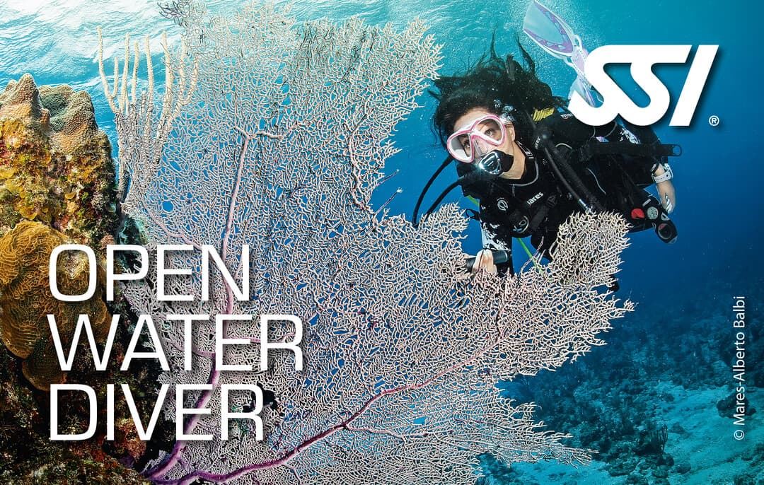 OPEN WATER DIVER - Imagen 1