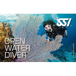 OPEN WATER DIVER - Imagen 1