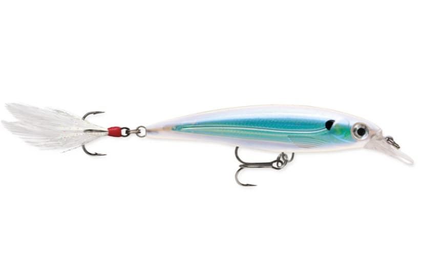 RAPALA X-RAP SALT 12CM - Imagen 1