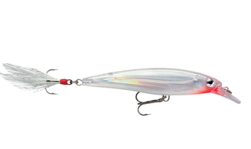 RAPALA X-RAP SALT 12CM - Imagen 2