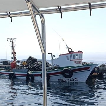 RUTA DEL MEJILLON - Imagen 2