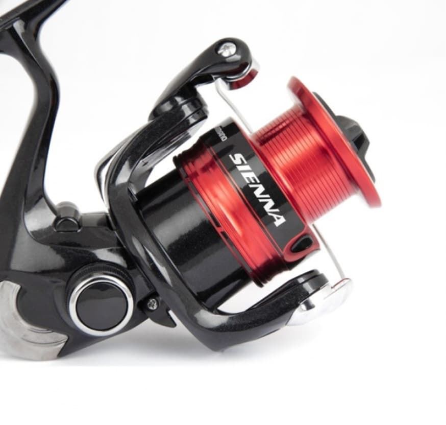SHIMANO SIENNA FG - Imagen 2