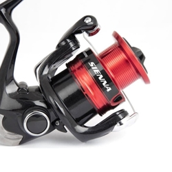 SHIMANO SIENNA FG - Imagen 2