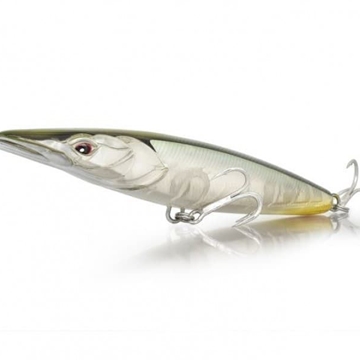 XORUS ASTURIE 110 - Imagen 1